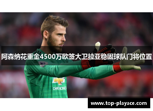 阿森纳花重金4500万欧签大卫拉亚稳固球队门将位置